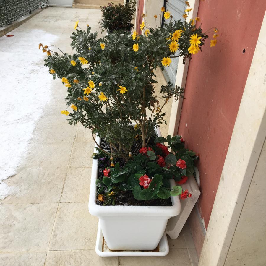 מטרה Amaranto Bnb מראה חיצוני תמונה